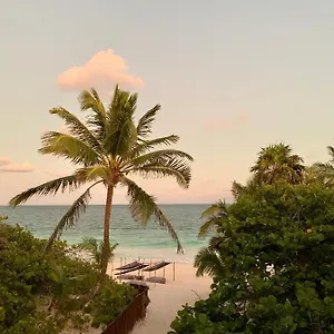 Libelula Beachfront 4*, Tulum Mexico